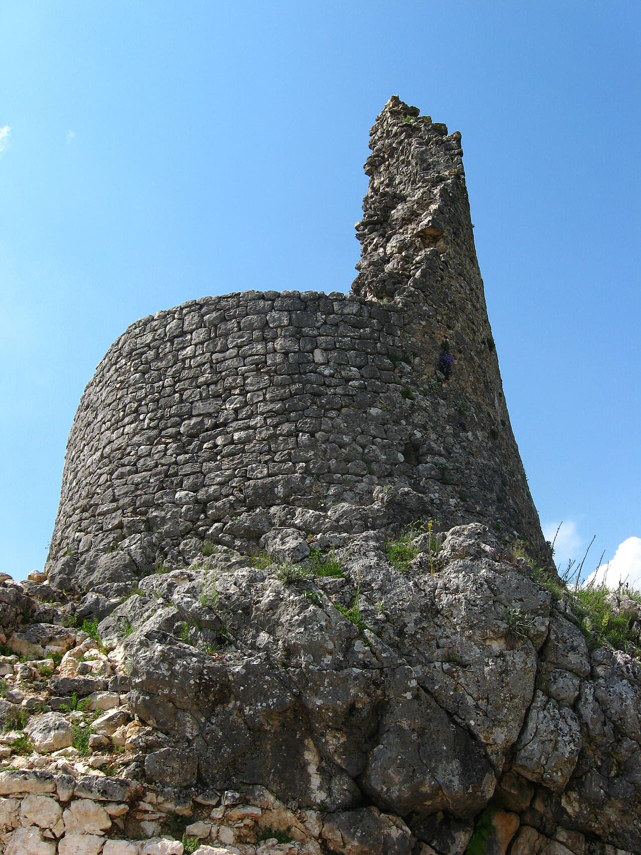 Nutjak