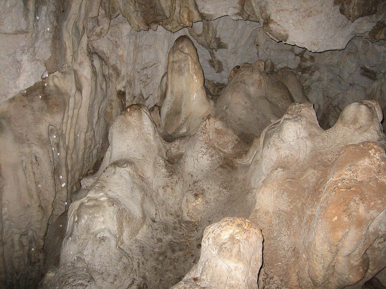 Ikovača