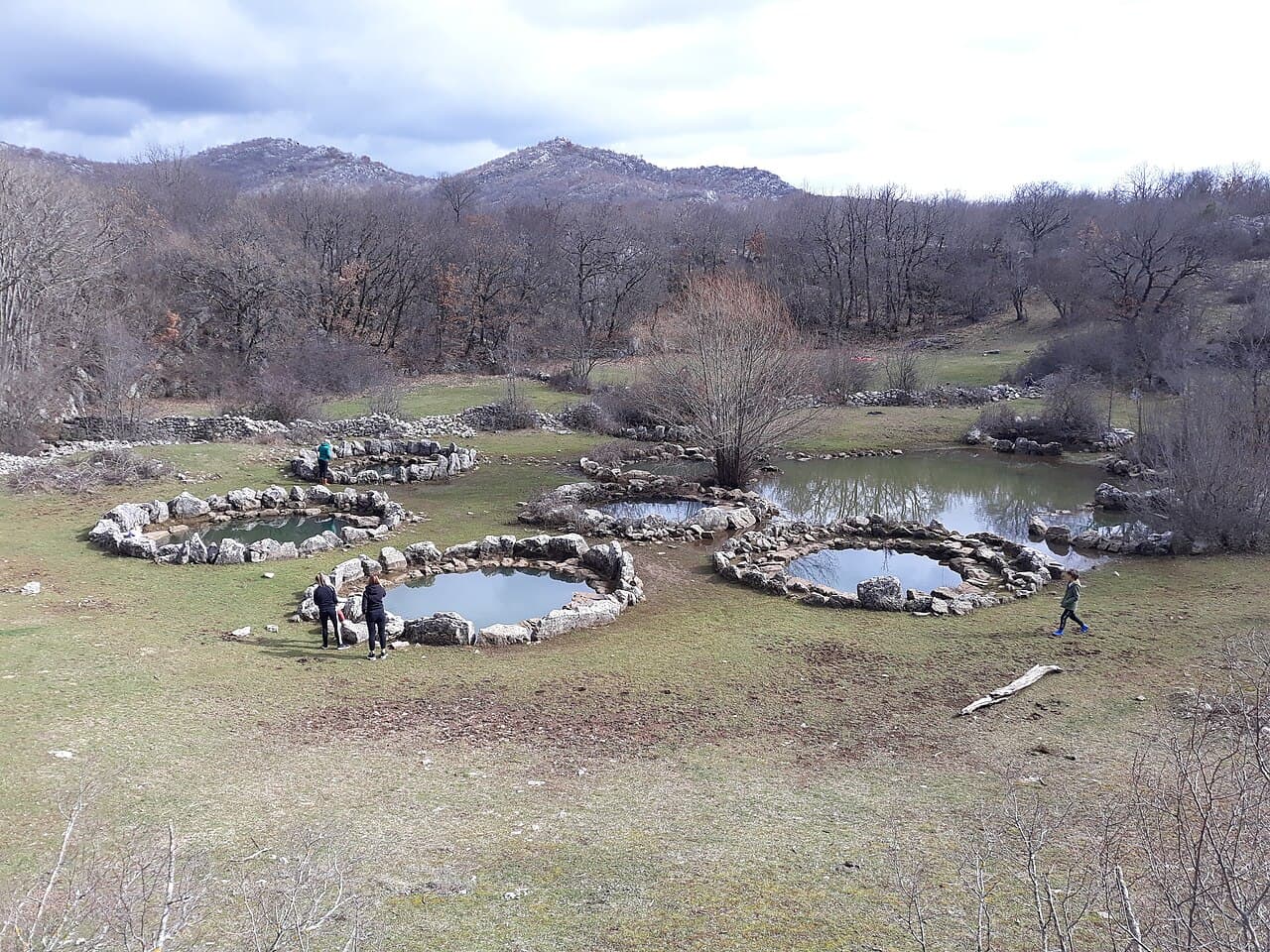 Rajčica